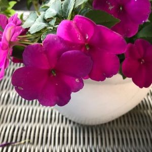 Meet your Posher, Kimberly